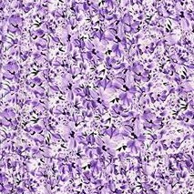 purple flower