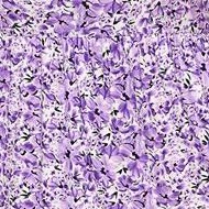 purple flower