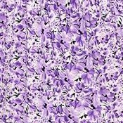 purple flower