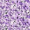purple flower