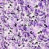 purple flower