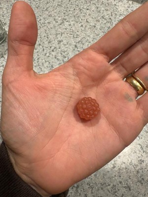 Guest review image 1 of 2, zoom in