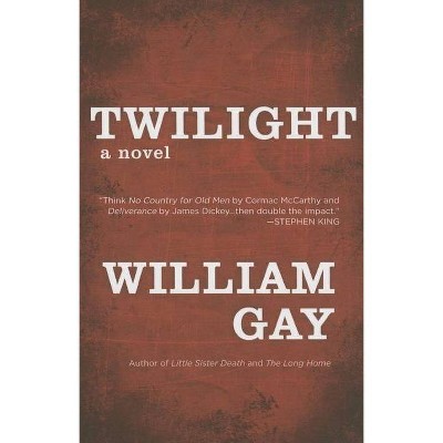 Twilight - by  William Gay (Paperback)