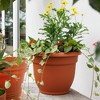 Bloem Ariana Round Resin Planter Pot Indoor and Outdoor Gardening - 2 of 4