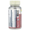 Solaray CircuLegs™ with Horse Chestnut, 60 VegCaps - 3 of 4