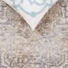 Finley FIN308 Power Loomed Indoor Rugs - Safavieh - 4 of 4