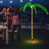 Costway 7ft Pre-lit LED Rope Light Palm Tree Hawaii-Style Holiday Decor w/ 306 LED Lights - 4 of 4