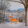 Rudolph the Red-Nosed Reindeer 36IN RUDOLPH  3D PRELIT YARD ART  RUDOLPH WITH SANTA HAT, Brown - 2 of 4