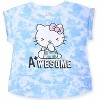 Hello Kitty Little Girl's 2-Piece Fashion Top and Dolphin Shorts Sets - 2 of 3
