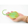 Collectible Wildlife Gifts | Ray, Bluespotted Ribbontail Ray, Stinray, Museum Quality, Hand Painted, Rubber Fish,  Figurine,  Gift,  7"  CH278 BB125 - 2 of 4