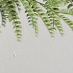 lemon pepper with honey mustard