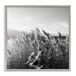 Stupell Industries Tall Grass Lake Water Landscape, 24" x 24" - 1 of 4