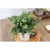 Attop 3 Pack Mini Potted Fake Plants Artificial Plastic Eucalyptus Plants Centerpieces for Table Home Office Desk Accessories Decor - 2 of 4