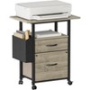 Gericco 2 Drawer File Cabinet with 24'' Extended Desktop, Mobile Filing Cabinet, Rolling File Cabinet with Side Bag, Fabric Drawer, Fits A4 Size - 3 of 4