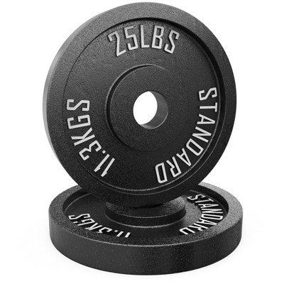 Synergee Standard Metal Weight Plates - 25lb Pair : Target