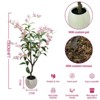 Artificial Jasmine Tree Potted 3D Realistic UV-Resistant Faux Plant for Indoor Outdoor Home Garden Porch Decor - 2 of 4
