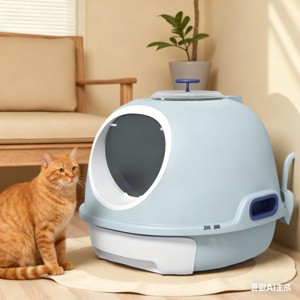 FONTOI Enclosed Cat Litter Box with Lid Cute Large Kitty Potty with Scoop , Drawer Tray, Skylight, Easy Clean, Indoor Use, Blue 18.5"* 21.8"*17.3" - 1 of 4