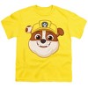 Boys' Short Sleeve Paw Patrol Rubble Grin T-Shirt - 2 of 4