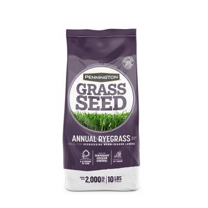 Pennington Annual Ryegrass Sun or Shade Grass Seed 10 lb - 1 of 1