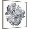 30" x 30" Tree Ring Abstract IV by Ethan Harper Framed Canvas Wall Art Print - Amanti Art: Modern Lithograph, Polystyrene Frame - 2 of 4