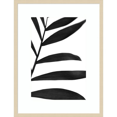 22" x 29" Palms V by W Stramel Framed Wall Art Print Black - Amanti Art