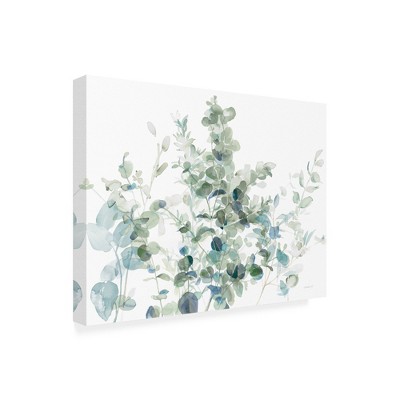 Danhui Nai 'Eucalyptus I Cool' Canvas Art
