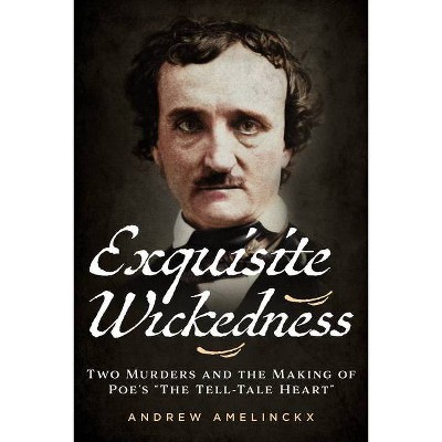 Exquisite Wickedness - (America Through Time) by  Andrew Amelinckx (Paperback)