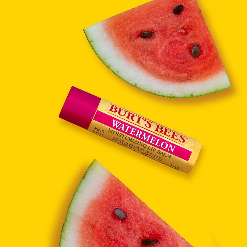 Burt&#39;s Bees Moisturizing Lip Balm - Watermelon - 0.15oz, 4 of 19