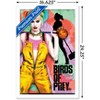 Trends International DC Comics Movie - Birds of Prey - Emancipation Framed Wall Poster Prints - 3 of 4