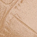 tan