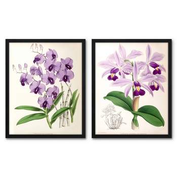 Americanflat 2 Piece 16x20 Wrapped Canvas Set - Fitch Orchid 
by New York Botanical Garden - botanical  Wall Art