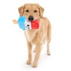BARK Summer Big Shake Lake Rocky Pop Dog Plush Toy - 4 of 4