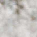 white, olive, taupe, medium gray, light gray, pale blue