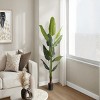 GlasFlength Artificial Plants Artificial Rubber Tree Artificial Strelitzia Tree Faux Plants for Indoor Home Decor, Green, 27.5"*25.5"*59" - 2 of 4