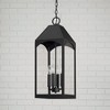 Capital Lighting Burton 4 - Light Pendant in  Black - 4 of 4