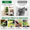 Tangkula 45 Inch Artificial Boxwood Topiary Ball Tree Fake 5 Ball Topiary Tree for Home - 4 of 4