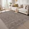 Washable Rug Rugs for Living Room, Non-Shedding Foldable Modern Carpet with Non Slip Rubber Backing - 4 of 4