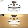 TOBILI Flush Mount Ceiling Light with Clear Glass Shade,Modern Flush Mount Lighting - 2 of 4