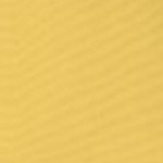 canvas buttercup