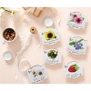 Buzzy Seeds 12pk Sunflower Daisy Coneflower Cactus Forget-Me-Not Strawberry Classic Mini Grow Pots Flower Kits - 4 of 4