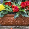 Van Zyverden Hanging Basket Begonias Golden Balcony Bulbs - 2 of 4