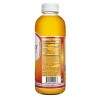 GT's Synergy Gingerade Organic Vegan Raw Kombucha - 16 fl oz - image 3 of 4