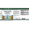TerraVita Jerusalem Artichoke (Helianthus tuberosus, Sunchoke, 90% Inulin Fiber) - 450 mg (100 capsules, ZIN: 570983, 2-Pack) - 2 of 4