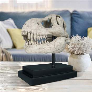 Design Toscano T-Rex Dinosaur Skull Fossil Statue on Museum Mount