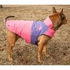 Touchdog (R) Lightening-Shield 2-in-1 Dual-Removable-Layered Waterproof Dog Jacket - 4 of 4