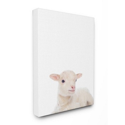 24"x1.5"x30" Baby Lamb Studio Photo Oversized Stretched Canvas Wall Art - Stupell Industries