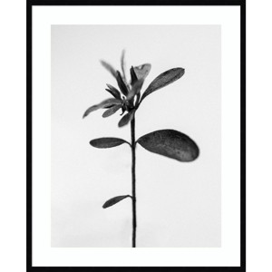 33" x 41" Amid The Flowers 30 by Teis Albers Wood Framed Wall Art Print - Amanti Art: Contemporary Botanical Lithograph, Vertical Layout - 1 of 4