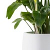Rosemead Home & Garden Concrete Outdoor Planter Pot Chalk White 20.03"x23.03"x12.99" - 2 of 4