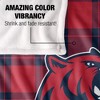 Rogers State University Campus Plaid Spirit Silky Touch Super Soft Throw Blanket 50x60 - 4 of 4