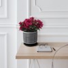 VisioGear Mesh Design Planter with Saucer, Plant Pots for Living Room, Bedroom, Gray, 6"*6"*6" - 2 of 4